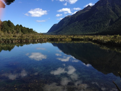 Mirror lakes on the road to Milford Sound. 